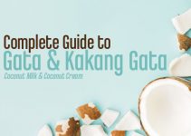 Complete Guide To Gata And Kakang Gata
