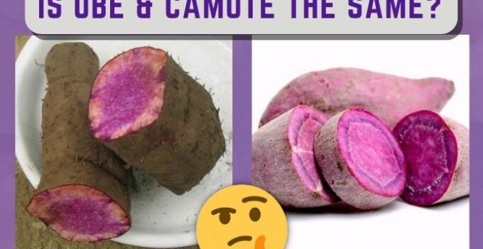 Is Ube And Camote The Same